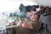 sieste
