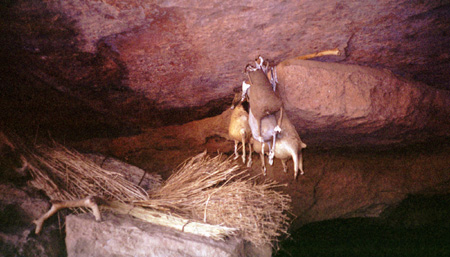 pays_Dogon_2002(26)
