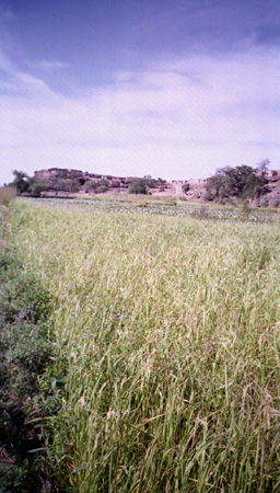 pays_Dogon_2002(27)