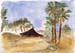 vallee_d_Draa_2